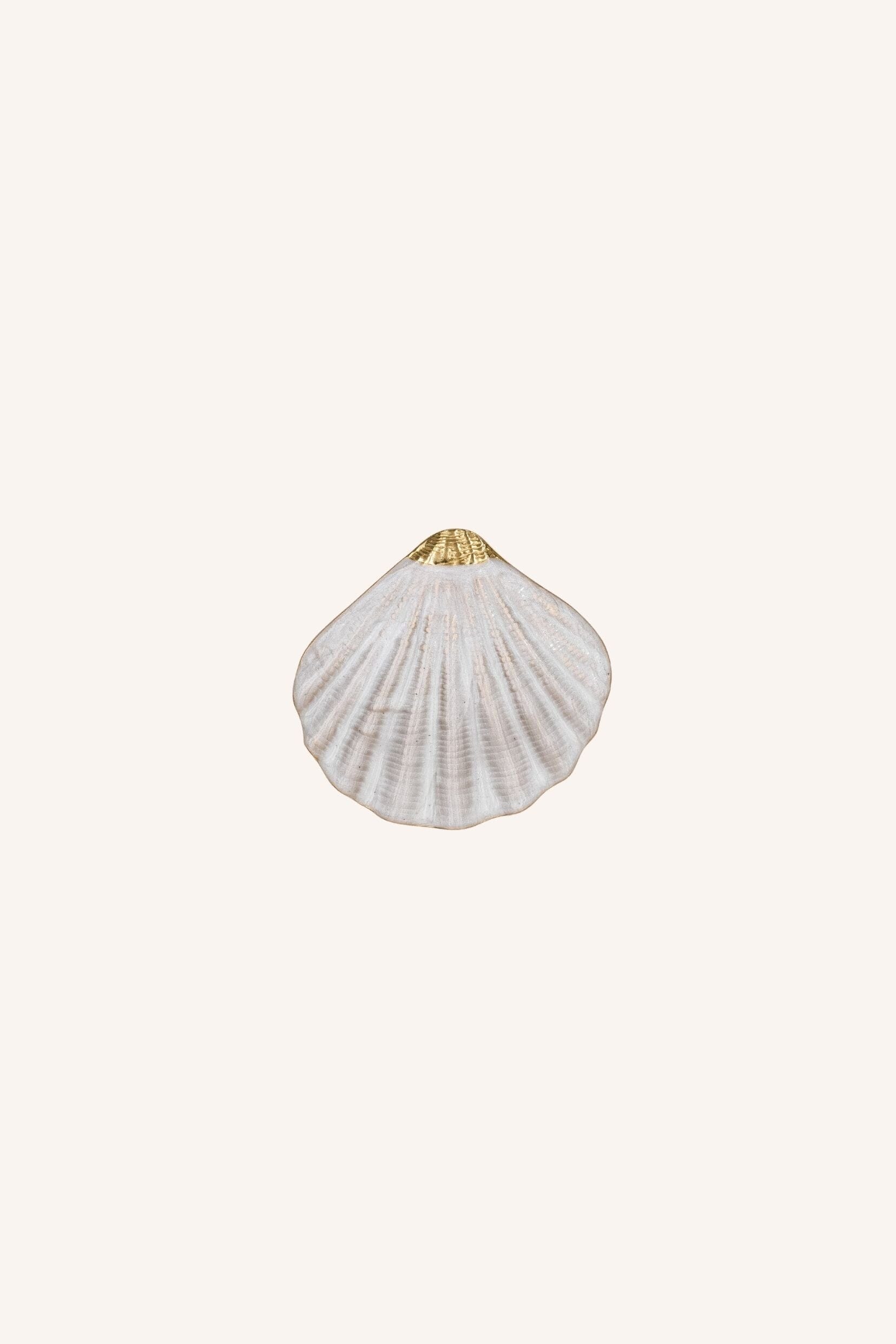 Καρφίτσα Coquillage